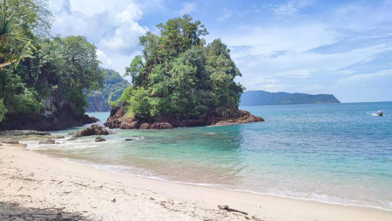 Adventure Turtle Homestay Meru Betiri Sarungan Екстериор снимка