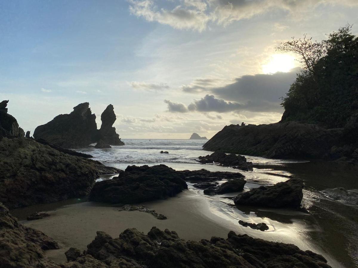 Adventure Turtle Homestay Meru Betiri Sarungan Екстериор снимка