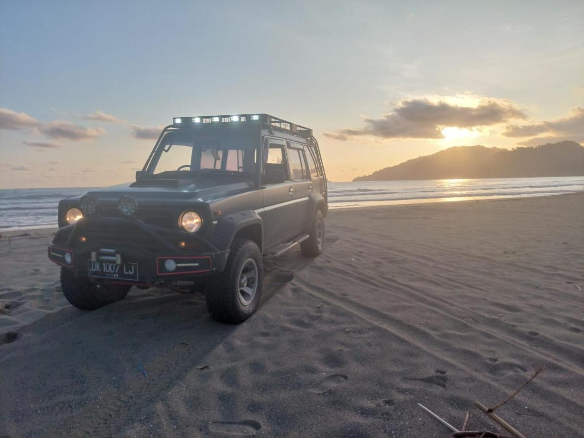 Adventure Turtle Homestay Meru Betiri Sarungan Екстериор снимка