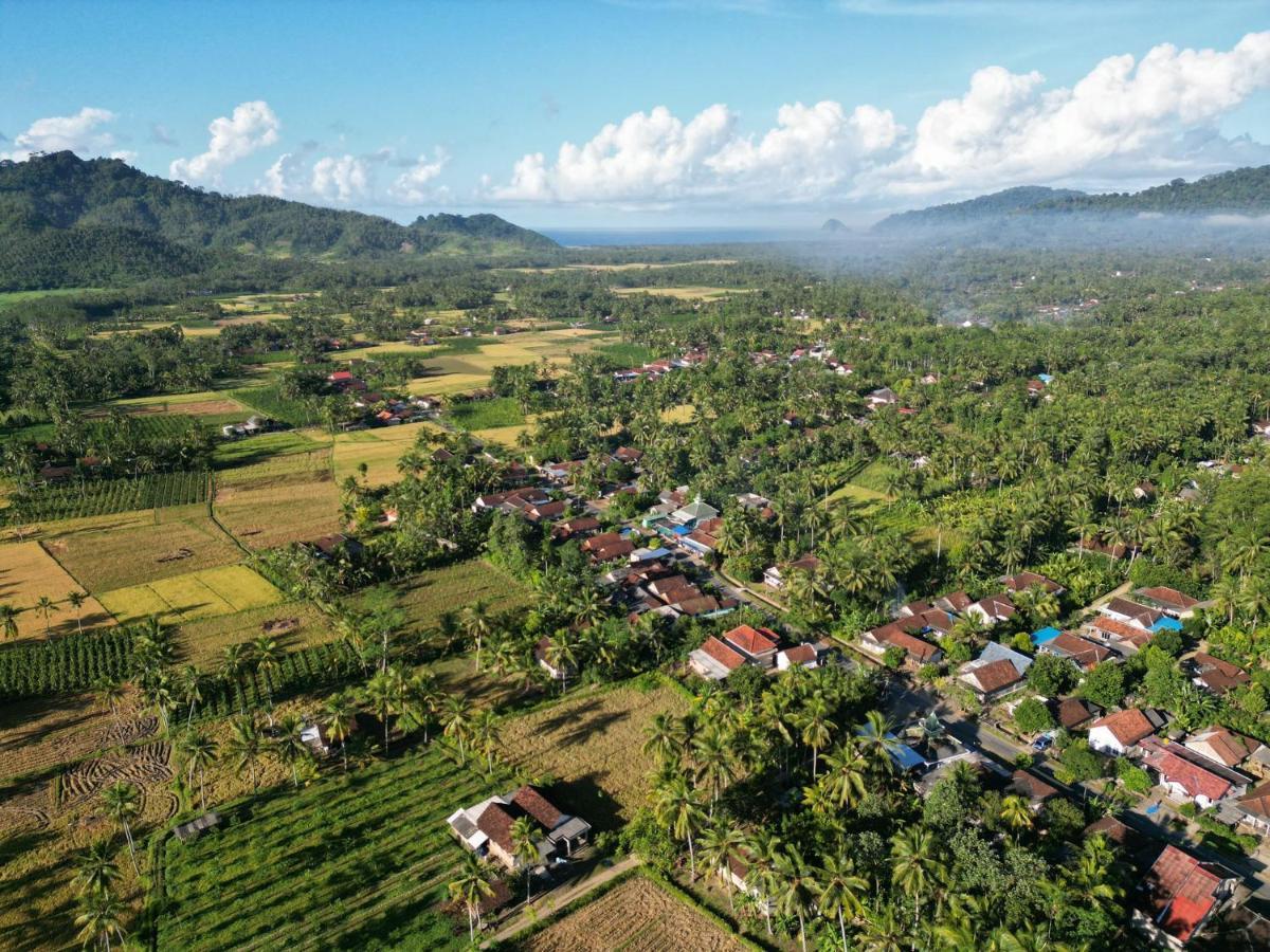 Adventure Turtle Homestay Meru Betiri Sarungan Екстериор снимка
