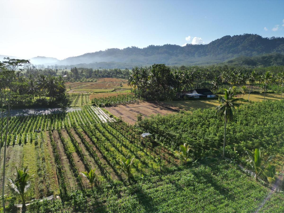 Adventure Turtle Homestay Meru Betiri Sarungan Екстериор снимка