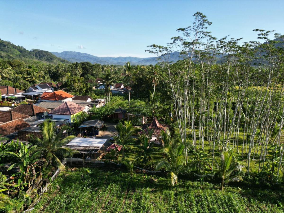 Adventure Turtle Homestay Meru Betiri Sarungan Екстериор снимка