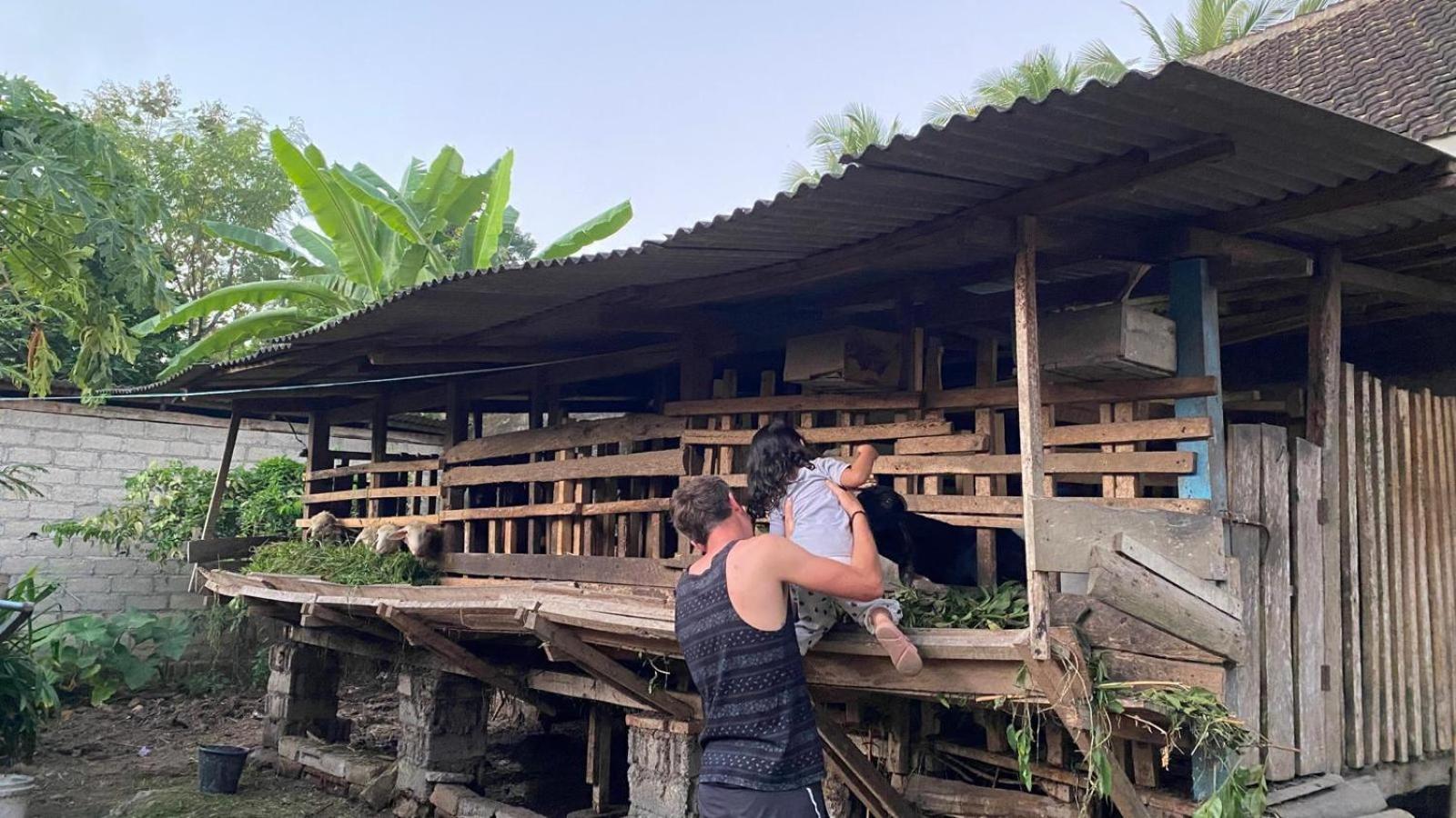 Adventure Turtle Homestay Meru Betiri Sarungan Екстериор снимка